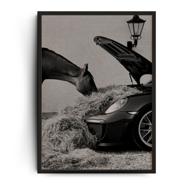 HORSE